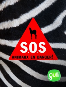 Gulli - S.O.S. animaux en danger