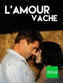 Téva - L'amour vache