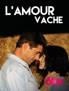 6ter - L'amour vache