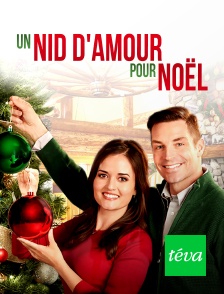 Téva - Un nid d'amour pour Noël