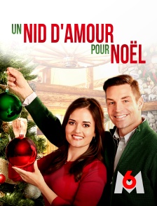 M6 - Un nid d'amour pour Noël