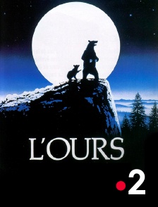 France 2 - L'ours