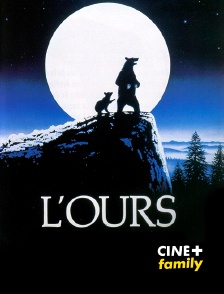 CINE+ Family - L'ours