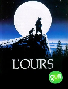 Gulli - L'ours