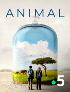 France 5 - Animal