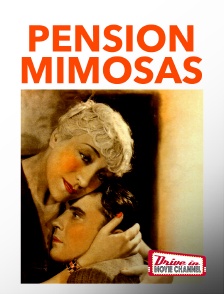 Drive-in Movie Channel - Pension Mimosas