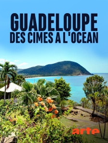 Arte - Guadeloupe, des cimes à l'océan