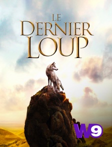 W9 - Le dernier loup