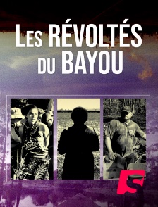 Spicee - Les Révoltés du Bayou