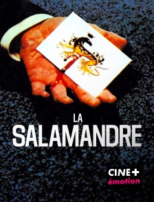 CINE+ Emotion - La salamandre