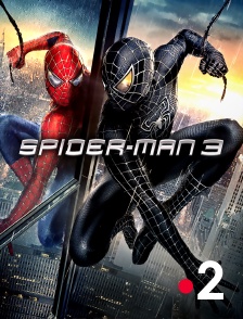 France 2 - Spider-Man 3