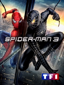 TF1 - Spider-Man 3