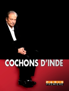 Paris Première - Cochons d'inde