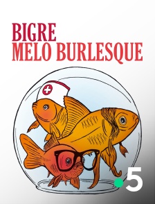 France 5 - Bigre, mélo burlesque