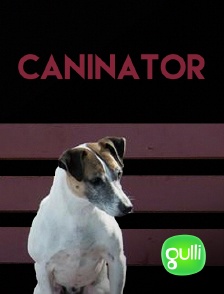 Gulli - Caninator