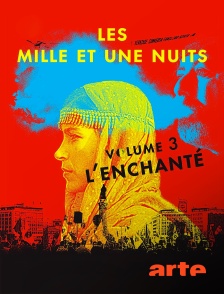 Arte - Les mille et une nuits, volume 3 : l'enchanté