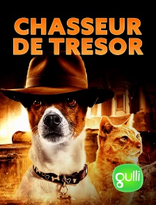 Gulli - Chasseur de Trésor