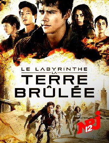 NRJ 12 - Le labyrinthe : la terre brûlée