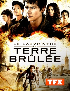 TFX - Le labyrinthe : la terre brûlée