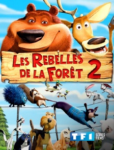 TF1 Séries Films - Les rebelles de la forêt 2