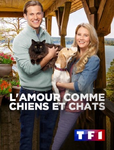 TF1 - L'amour comme chiens et chats