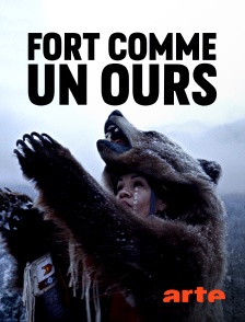 Arte - Fort comme un ours