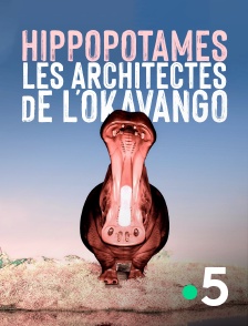 France 5 - Hippopotames, les architectes de l'Okavango