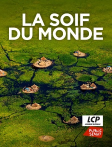 LCP Public Sénat - La soif du monde