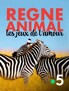 France 5 - Règne animal, les jeux de l'amour