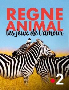 France 2 - Règne animal, les jeux de l'amour