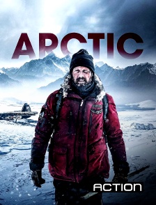 Action - Arctic