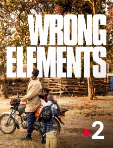 France 2 - Wrong Elements