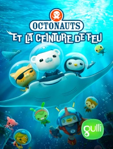 Gulli - Les Octonauts et la Ceinture de feu