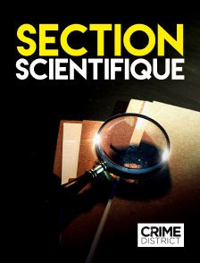 Crime District - Section scientifique