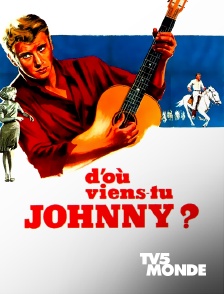 TV5MONDE - D'où viens-tu Johnny ?