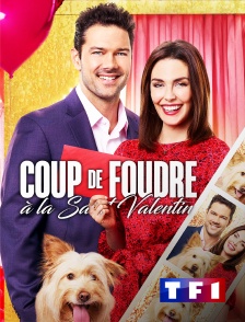 TF1 - Coup de foudre à la Saint-Valentin