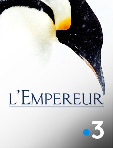 France 3 - L'empereur