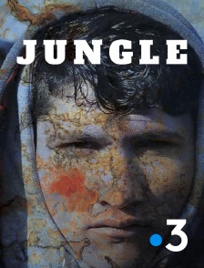 France 3 - Jungle