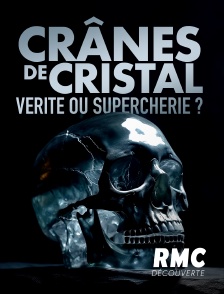 RMC Découverte - Crânes de cristal : vérité ou supercherie ?