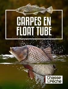 Chasse et pêche - Carpes en float tube avec Eric Deboutrois