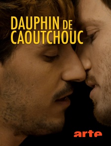 Arte - Dauphin de caoutchouc