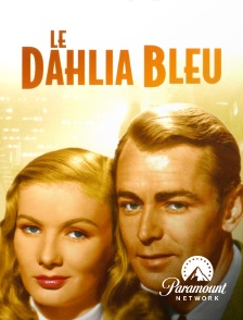 Paramount Network - Le Dahlia bleu