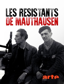 Arte - Les résistants de Mauthausen