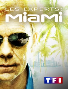 TF1 - Les experts : Miami