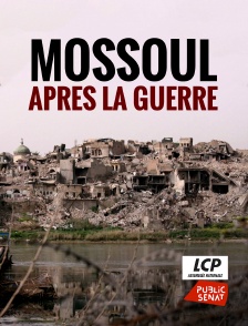 LCP Public Sénat - Mossoul après la guerre