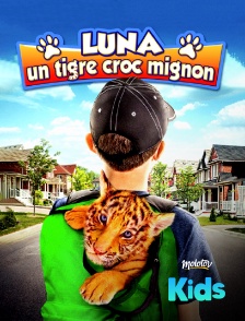 Molotov Channels Kids - Luna, un tigre croc mignon