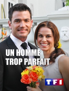 TF1 - Un homme trop parfait