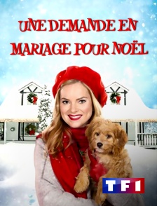 Une demande en mariage pour Noël