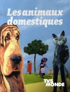 TV5MONDE - Les animaux domestiques