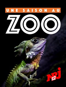 NRJ 12 - Une saison au zoo